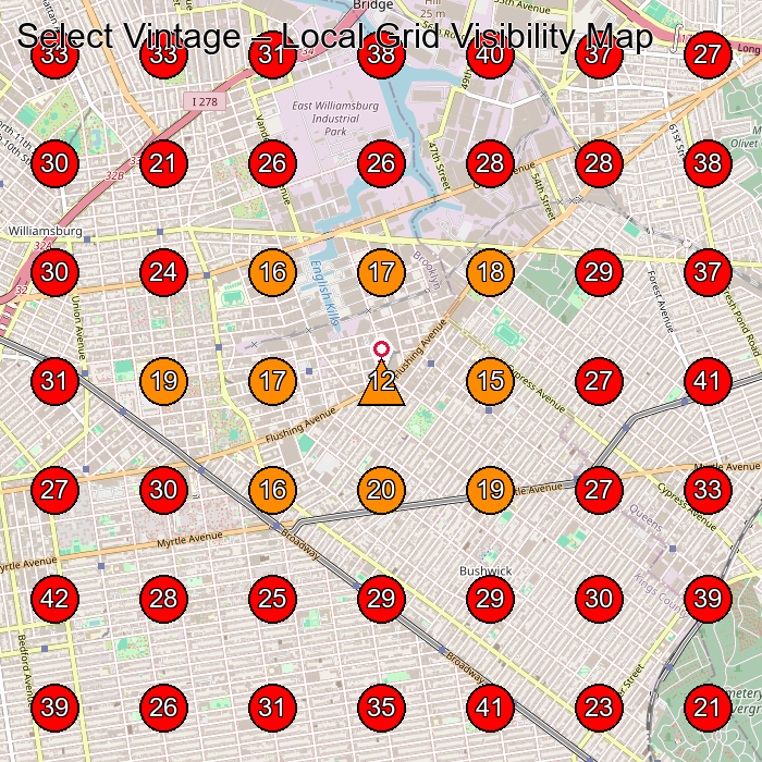 Select Vintage GeoGrid visibility map for Vintage Clothing Store in Brooklyn
